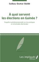 À quoi servent les élections en Guinée ?, Enquête multidimensionnelle sur les pratiques et vicissitudes électorales