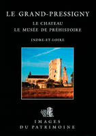 Grand-Pressigny (Le), Le Chateau N°102, le château, le Musée de préhistoire, Indre-et-Loire