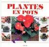 Plantes en pots