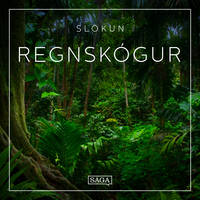 Slökun - Regnskógur