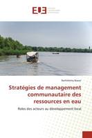 Stratégies de management communautaire des ressources en eau, Roles des acteurs au développement local