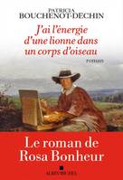 J'ai l'énergie d'une lionne dans un corps d'oiseau, Le roman de Rosa Bonheur