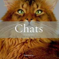 Chats (Coffret), Histoires de chats - Les Plus Beaux Chats