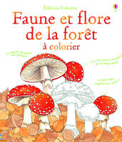 Faune et flore de la forêt à colorier