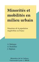 Minorités et mobilités en milieu urbain, Situations de la population maghrébine en France