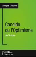 Candide ou l'Optimisme de Voltaire (Analyse approfondie), Approfondissez votre lecture des romans classiques et modernes avec Profil-Litteraire.fr