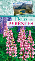 Fleurs des Pyrénées