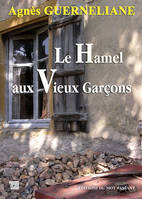 Hamel Aux Vieux Garcons (Le), roman