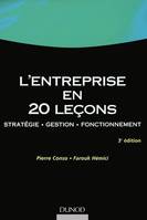 L'entreprise en 20 leçons, stratégie, gestion, fonctionnement