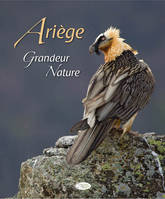 Ariège, grandeur nature