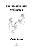 Que répondez-vous, professeur ?, Roman