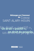 Mélanges en l'honneur de Corinne Saint-Alary-Houin, Un droit positif, un droit de progrès