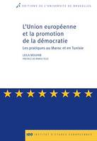 L'Union européenne et la promotion de la démocratie, Les pratiques au Maroc et en Tunisie