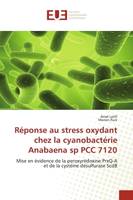 Réponse au stress oxydant chez la cyanobactérie Anabaena sp PCC 7120, Mise en évidence de la peroxyrédoxine PrxQ-A et de la cystéine désulfurase ScdB