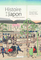 Histoire du et au Japon, De 1853 à nos jours