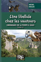 Chroniques de la pompe à Jules, 3, Une libellule chez les vautours, Roman