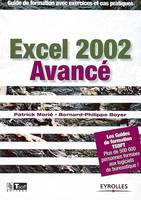 Excel 2002 avancé, guide de formation avec exercices et cas pratiques