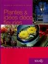 Plantes et idées déco fleuries