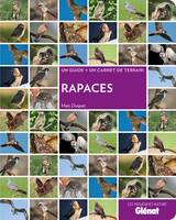 Rapaces