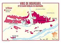 VINS DE BOURGUEIL ET DE ST-NICOLAS CARTES POSTALES