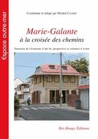 Marie-Galante à la croisée des chemins, Panorama de l'économie d'une île, perspectives et scénarios d'avenir