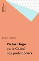 Victor Hugo ou le calcul des profondeurs