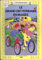 Le grand dictionnaire en images