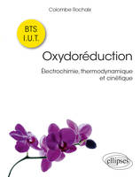 Oxydoréduction, Électrochimie, thermodynamique et cinétique