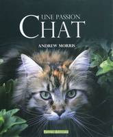 CHAT UNE PASSION