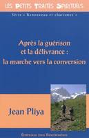 Après la guérison et la délivrance : la marche vers la conversion, la marche vers la conversion