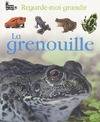 La grenouille