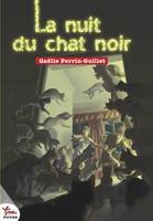 La nuit du chat noir, Roman