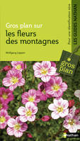 GP sur les fleurs de montagnes