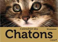 Calendrier des chatons