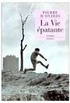 La vie épatante, roman