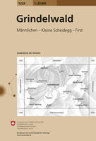 Carte nationale de la Suisse, 1229, GRINDELWALD