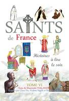 Les saints de France, 6, Saints de France tome 6, Histoires à lire le soir