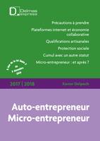 Auto-entrepreneur 2017/18, Micro-entrepreneur