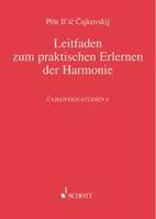 Vol. 6, Leitfaden zum praktischen Erlernen der Harmonie, Cajkovskijs Harmonielehre von 1871/72. Vol. 6.