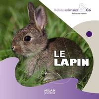 BEBES ANIMAUX & CO - LE LAPIN