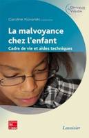 La malvoyance chez l'enfant, Cadre de vie et aides techniques