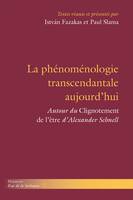 La phénoménologie transcendantale aujourd'hui, Autour du 