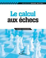 Objectif grand maître !, Le calcul aux échecs