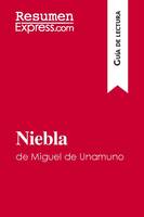 Niebla de Miguel de Unamuno (Guía de lectura), Resumen y análisis completo