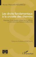 Les droits fondamentaux à la croisée des chemins, Esquisse d'une étude critique sur la difficile conformité entre théorie et effectivité