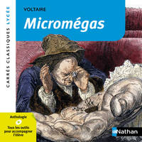 Micromégas - Voltaire - numéro 17