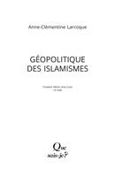 Géopolitique des islamismes