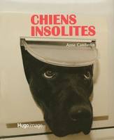 Chiens insolites