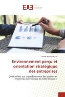 Environnement perçu et orientation stratégique des entreprises, Quels effets sur la performance des petites et moyennes entreprises de Côte d'Ivoire ?