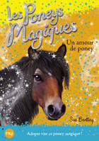 6, Les poneys magiques - numéro 6 Un amour de poney